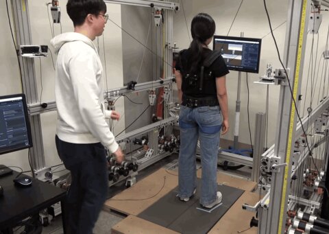Participant using the cable-driven RobUST trainer during a GRF-MPC experiment